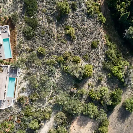 Olivio - Secret Roc *