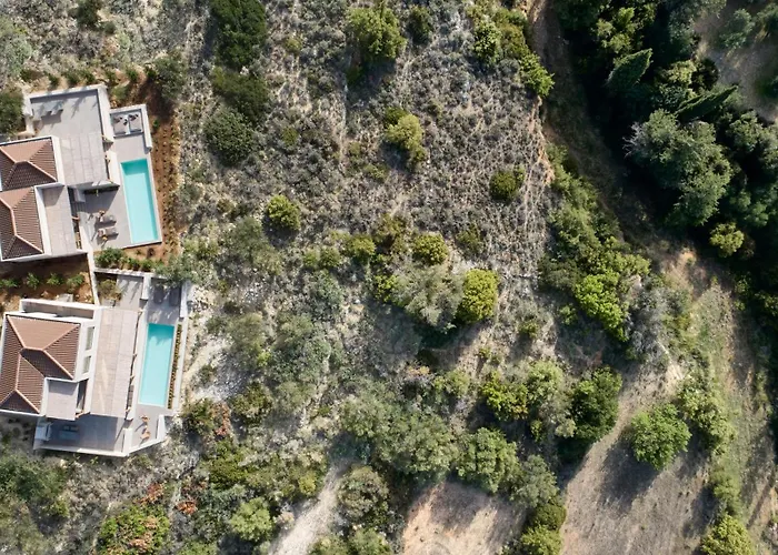 Olivio - Secret Roc *