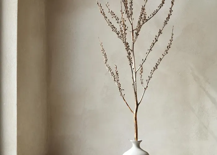 Olivio - Secret Roc Vila